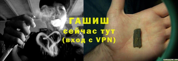 гидра Белокуриха