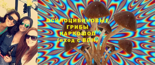 гидра Белокуриха