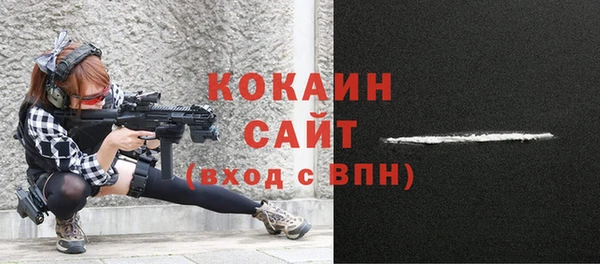 гидра Белокуриха
