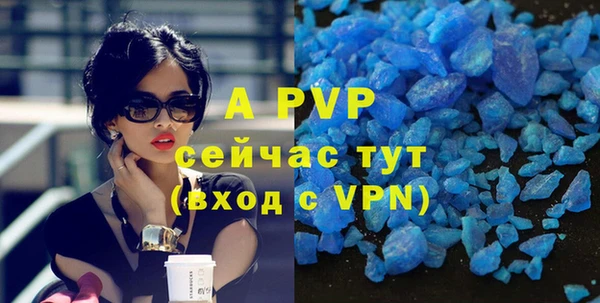 гидра Белокуриха