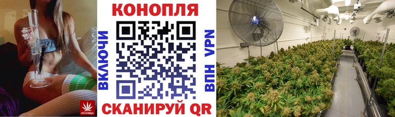 Конопля семена Белёв